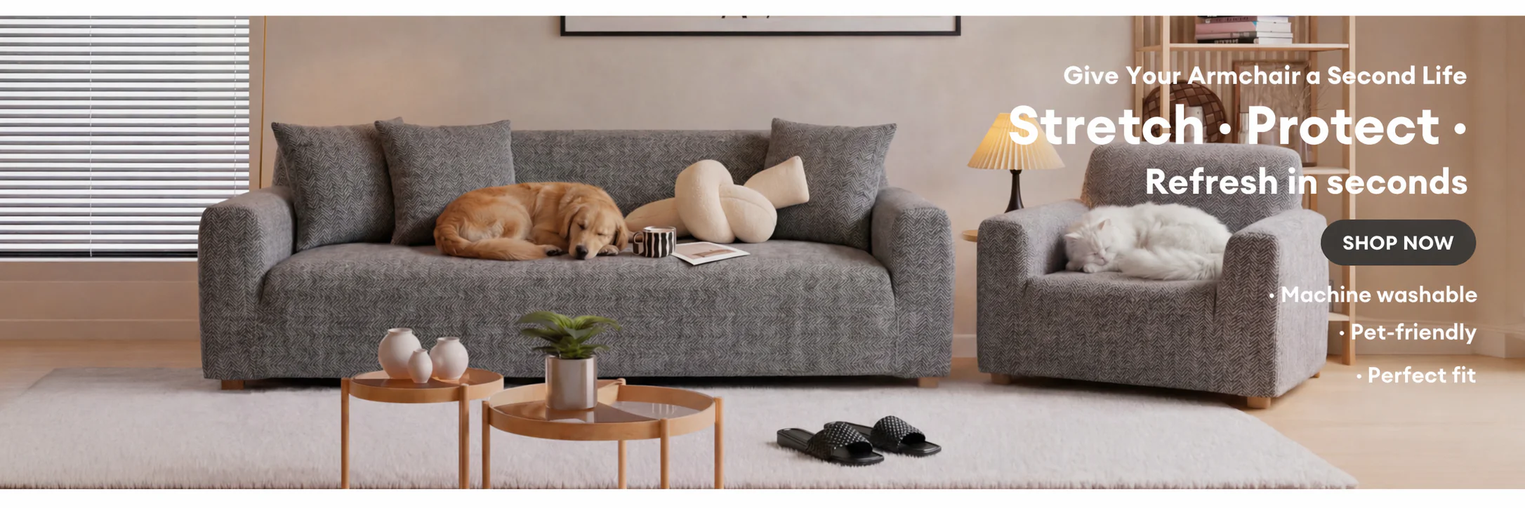 Ultimate Comfort for Happy Pets