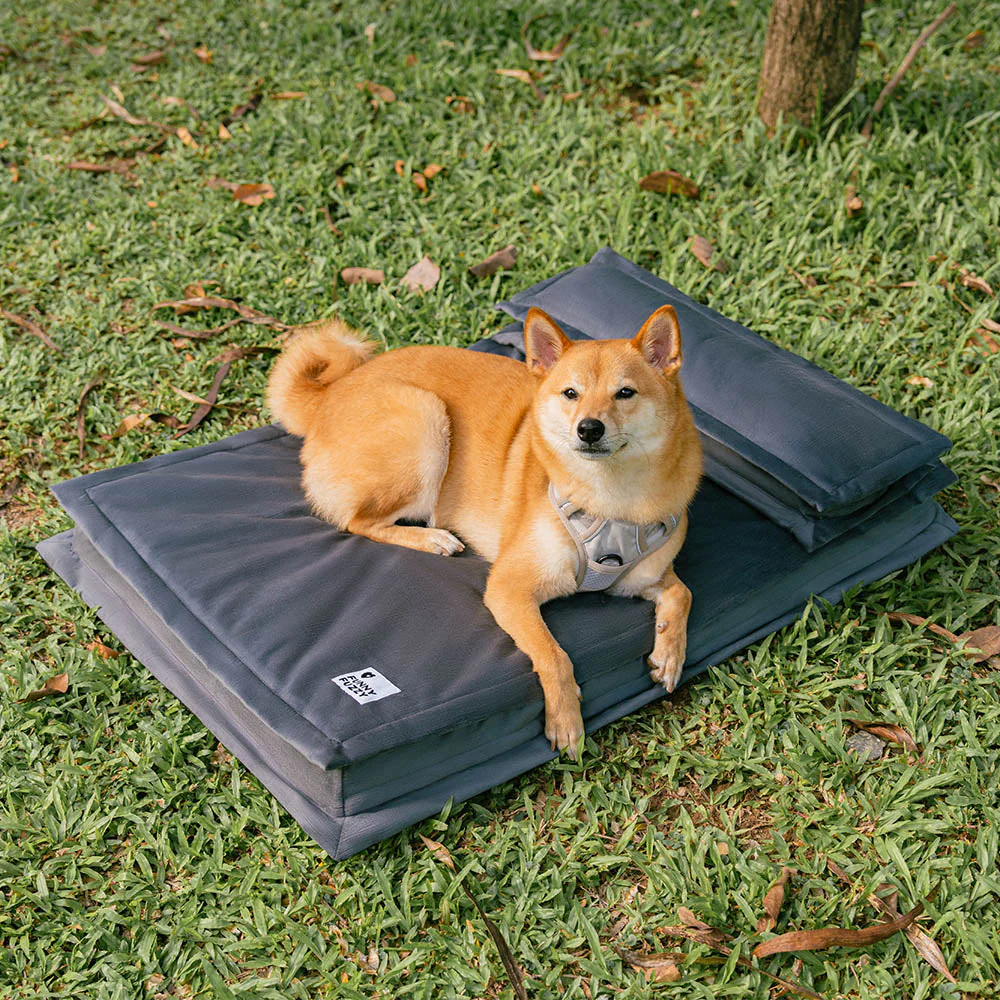 Anti-Anxiety with Sponge Support Deep Sleeping Dog Bed - Image 19
