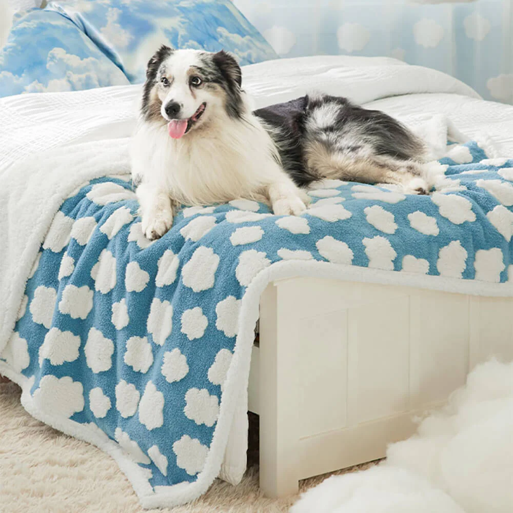 Cloud Flocked Waterproof Multi-Functional Sherpa Dog Blanket - Image 4