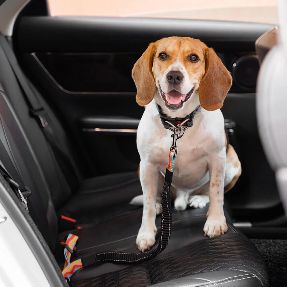 Colorful Buffer Adjustable Cool Dog Accessories Car Seat Belt - Image 2