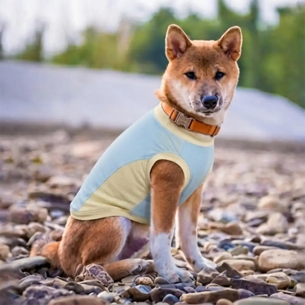 Cooling Ice Silk Sunscreen Dog Vest - Image 7