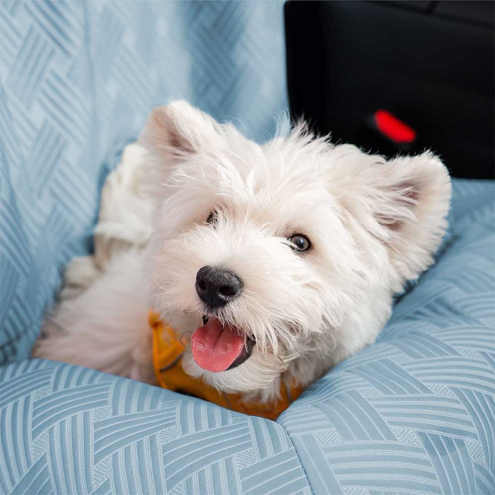 Cooling Travel Bolster Safety Back Seat Large Dog Car Seat Bed - Chill Rover - Image 11