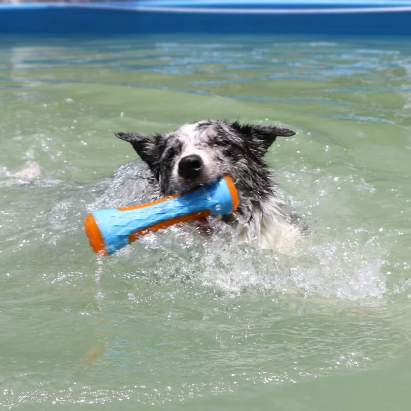 Dog Interactive Chew Toy Outdoor Floating Water Toy - Image 2