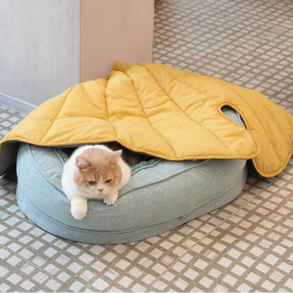 Donut Orthopedic Outdoor Dog Bed - Image 17
