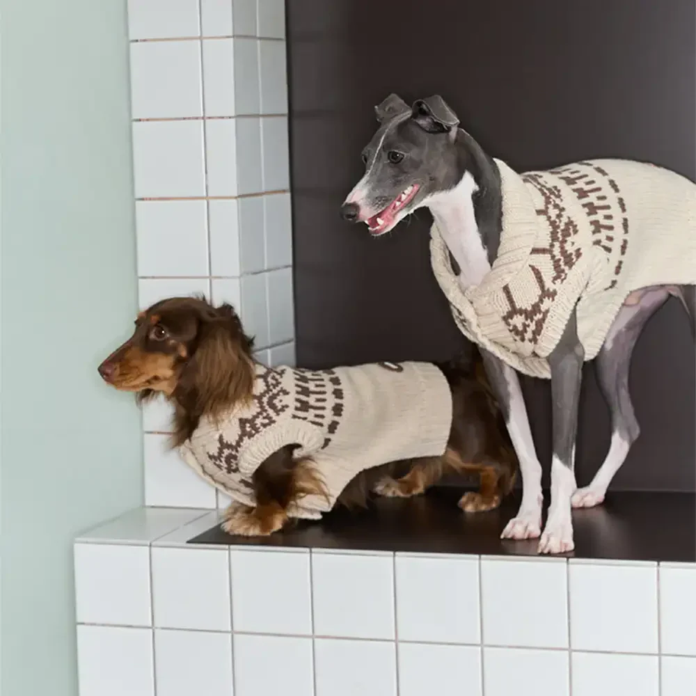 Fair Isle Pattern Dachshund Sleeveless Dog Sweater - Image 3