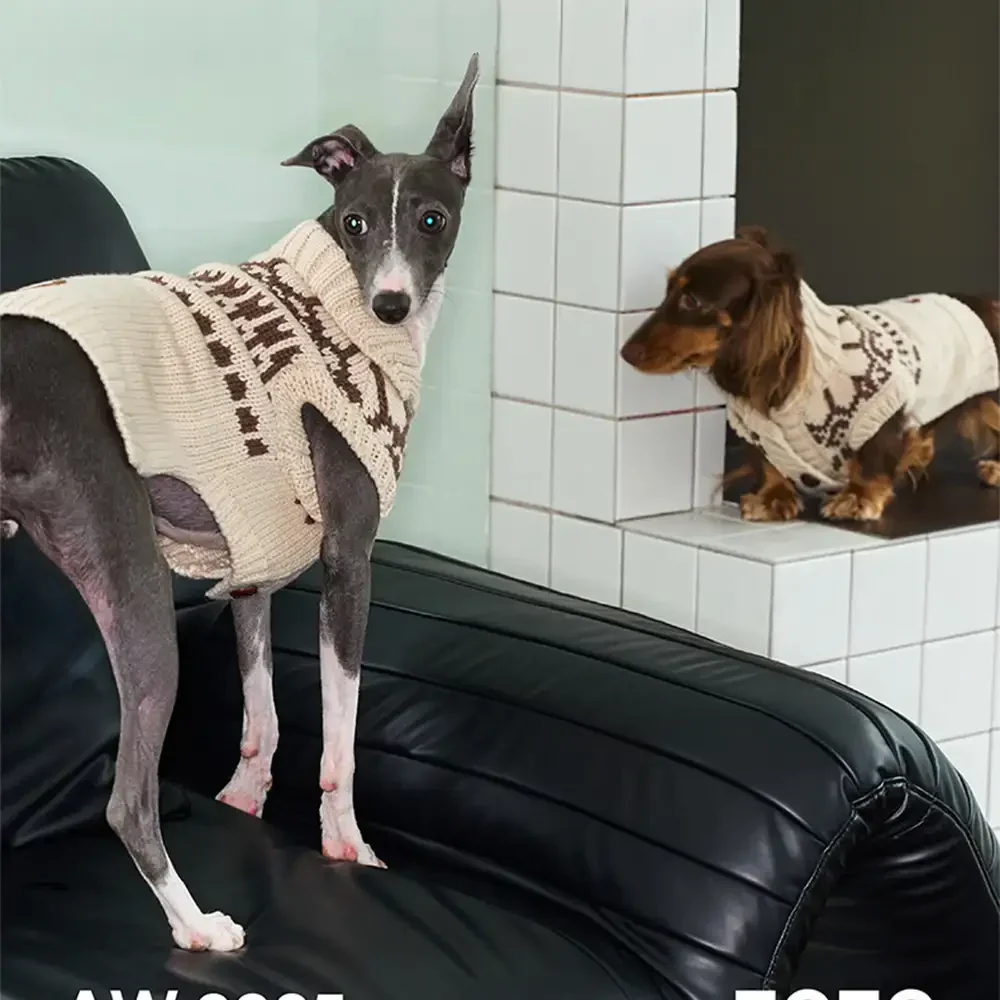 Fair Isle Pattern Dachshund Sleeveless Dog Sweater - Image 5