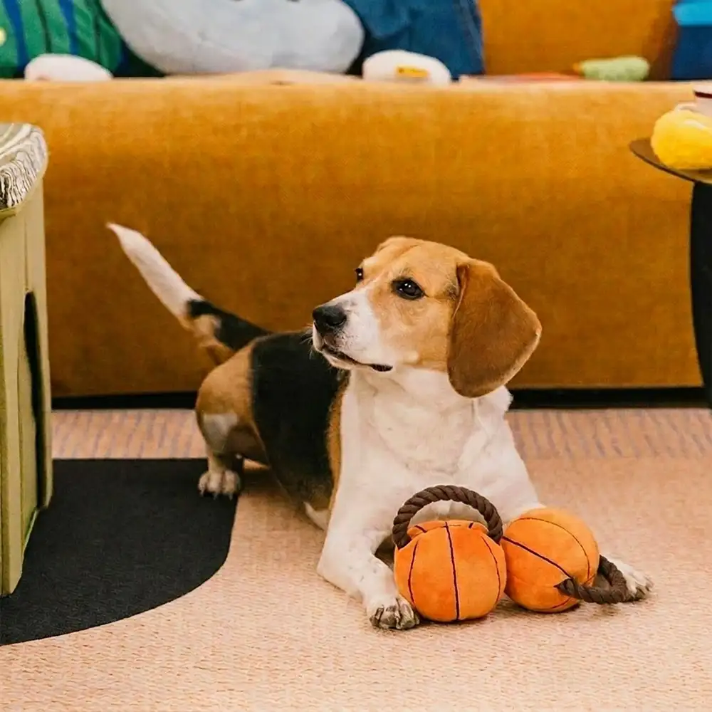 Fun Balls Dog Rope Chew Toy - Image 10
