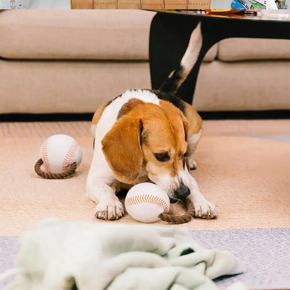 Fun Balls Dog Rope Chew Toy - Image 11