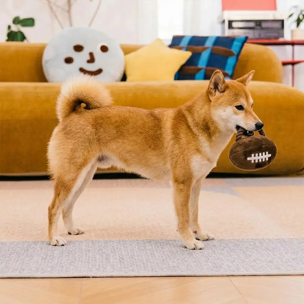 Fun Balls Dog Rope Chew Toy - Image 12