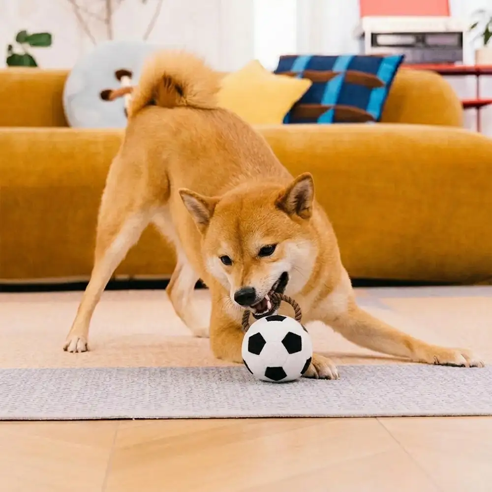 Fun Balls Dog Rope Chew Toy - Image 3