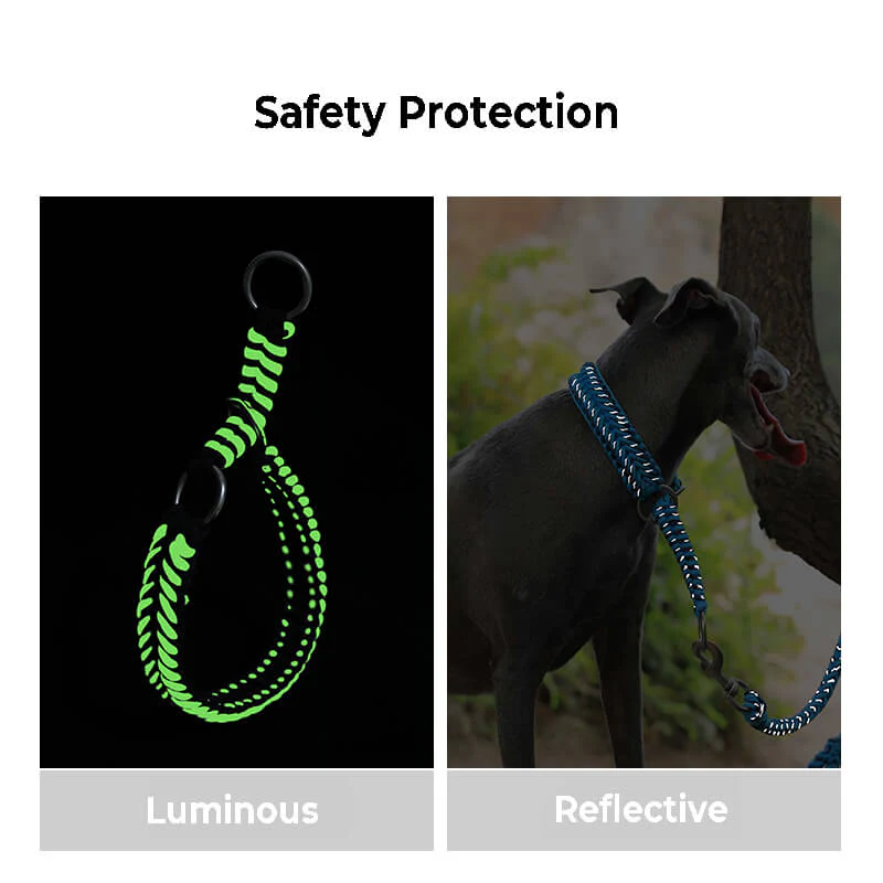Handmade Anti-Pull Luminous Large Dog Collar and Leash - Image 7