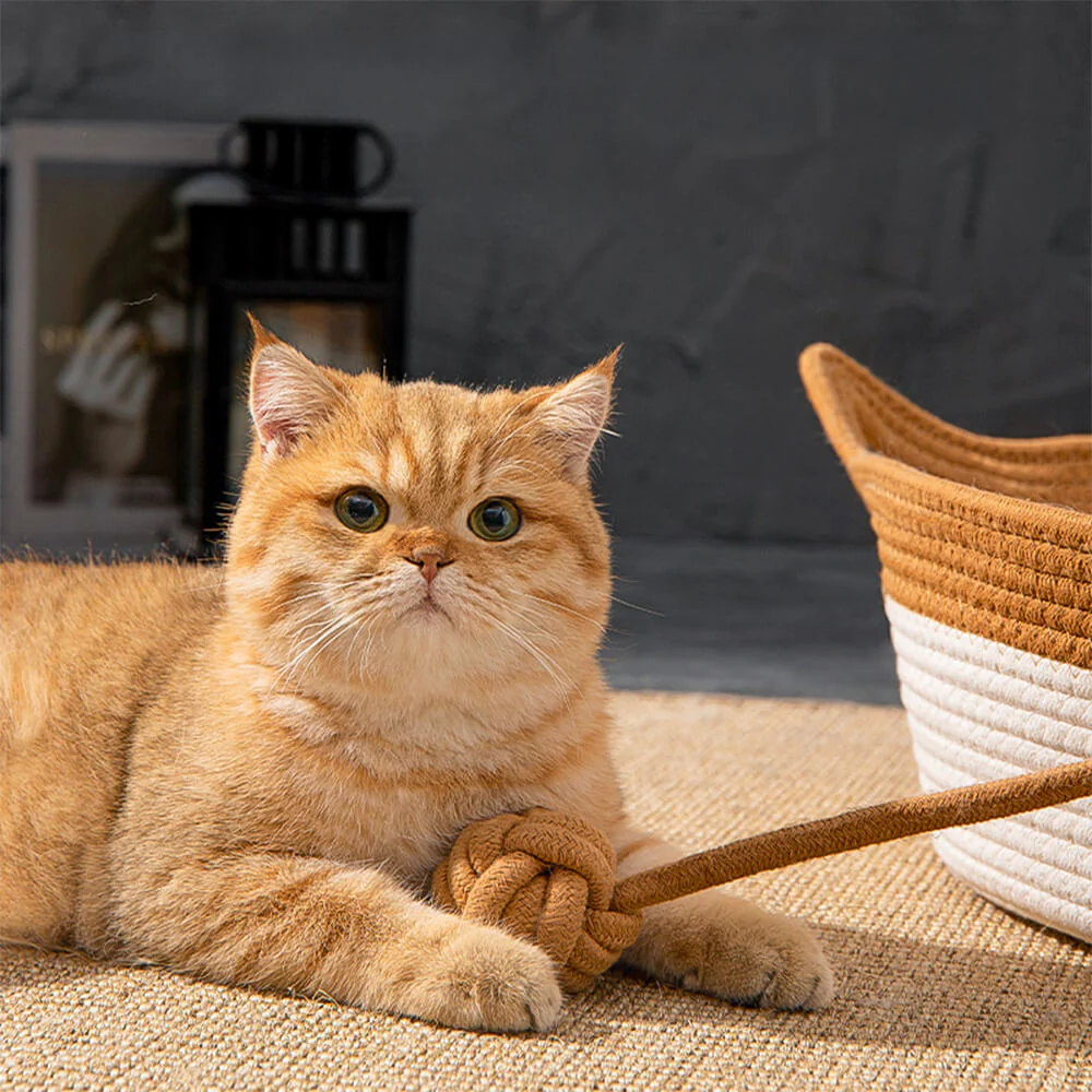 Handmade Cozy Multi-Use Durable Woven Cat Nest Bed - Image 5