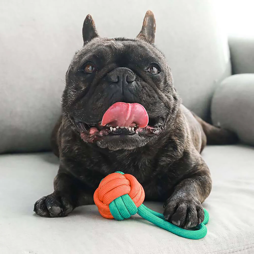 Knots Rope Dog Toy Set - Color Clash - Image 7