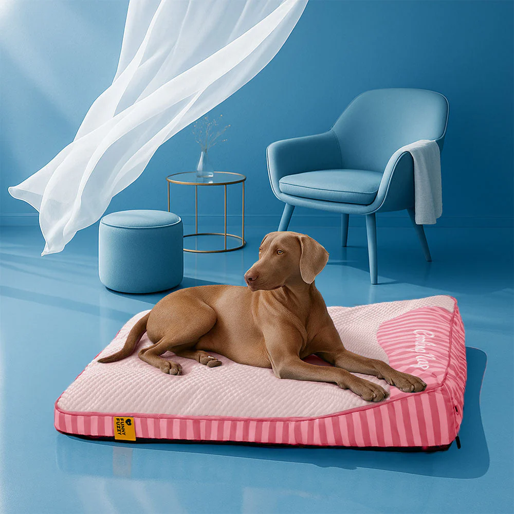 Large Washable Cooling Non-slip Dog Mat - Cooling Nap - Image 20