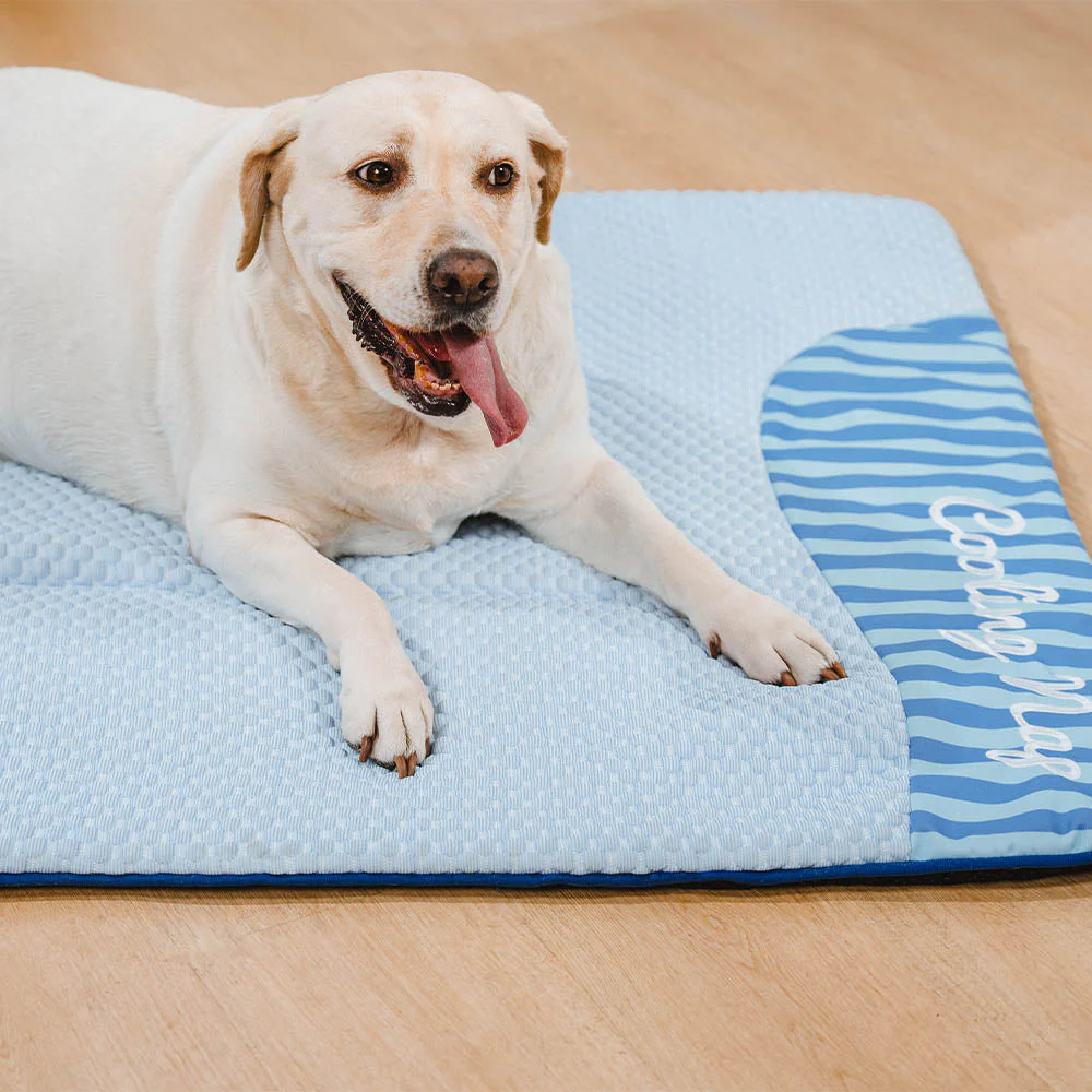 Large Washable Cooling Non-slip Dog Mat - Cooling Nap - Image 8