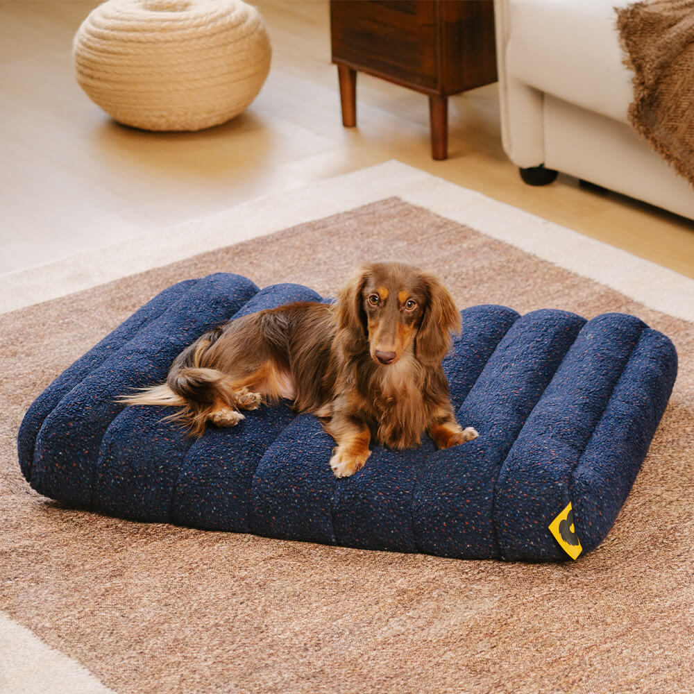 Large Washable Creamy Cozy Flat Dog Beds - Cheesecake - Image 5