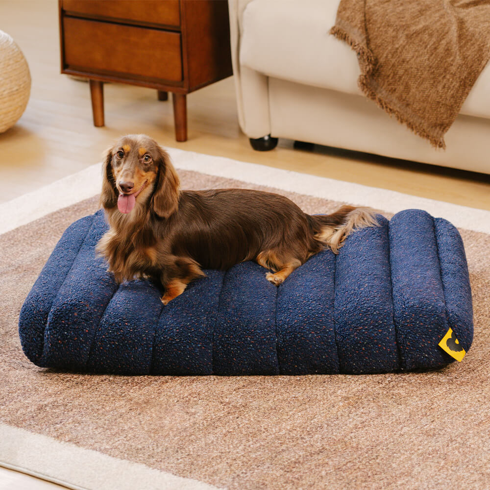 Large Washable Creamy Cozy Flat Dog Beds - Cheesecake - Image 9