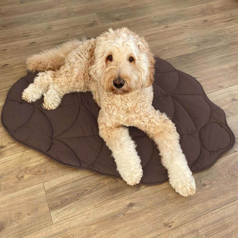 Leaf Shape Dog Blanket - Image 10
