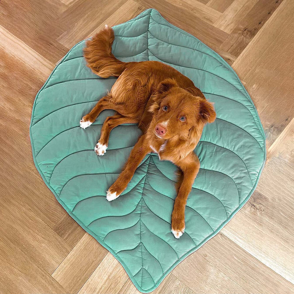 Leaf Shape Dog Blanket - Image 8