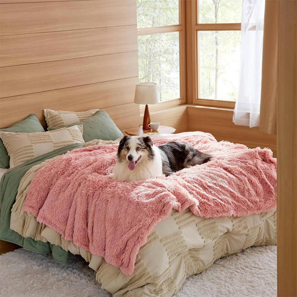 Luxurious Waterproof Plush Warm Multi-Purpose Home Dog Blanket - Image 10
