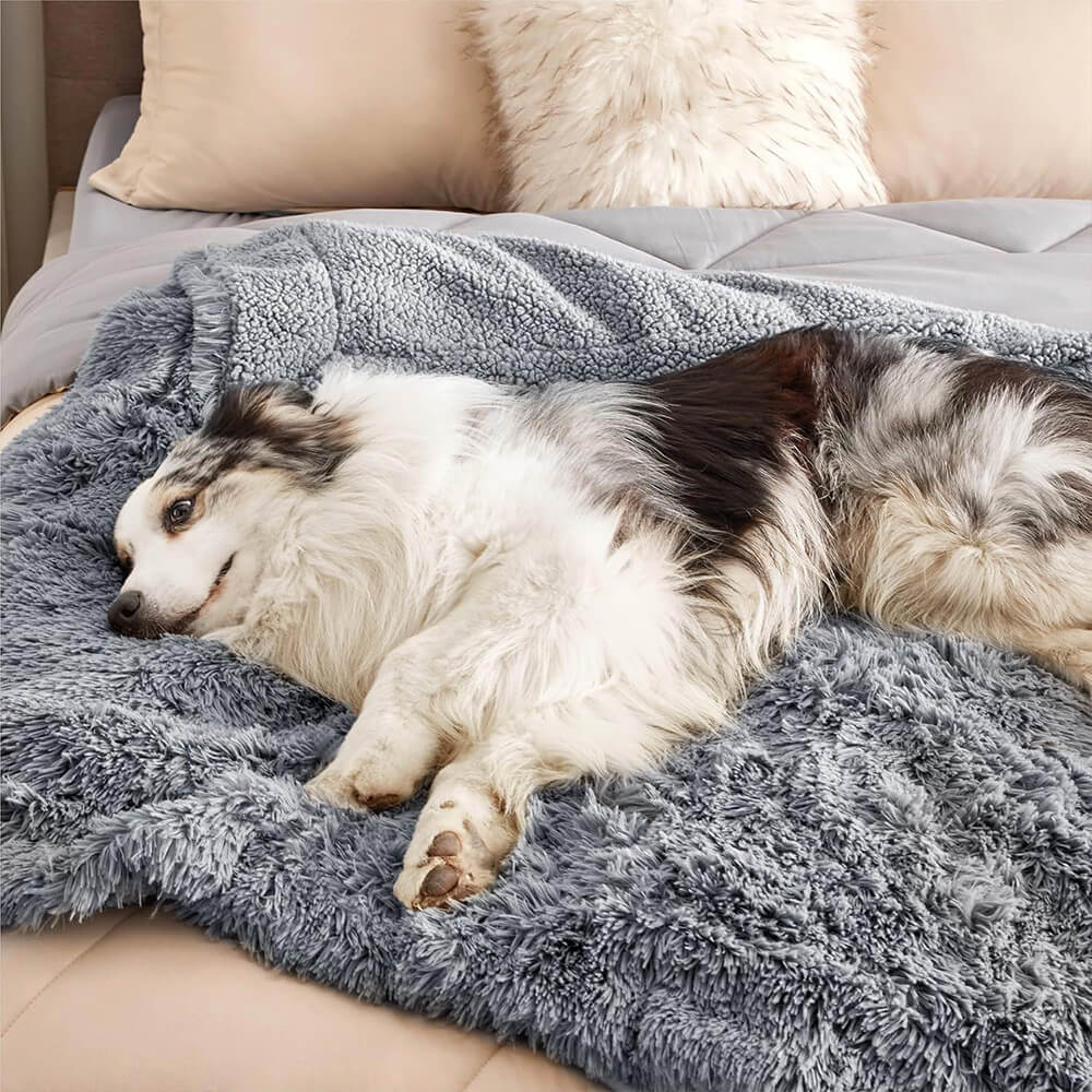 Luxurious Waterproof Plush Warm Multi-Purpose Home Dog Blanket - Image 2