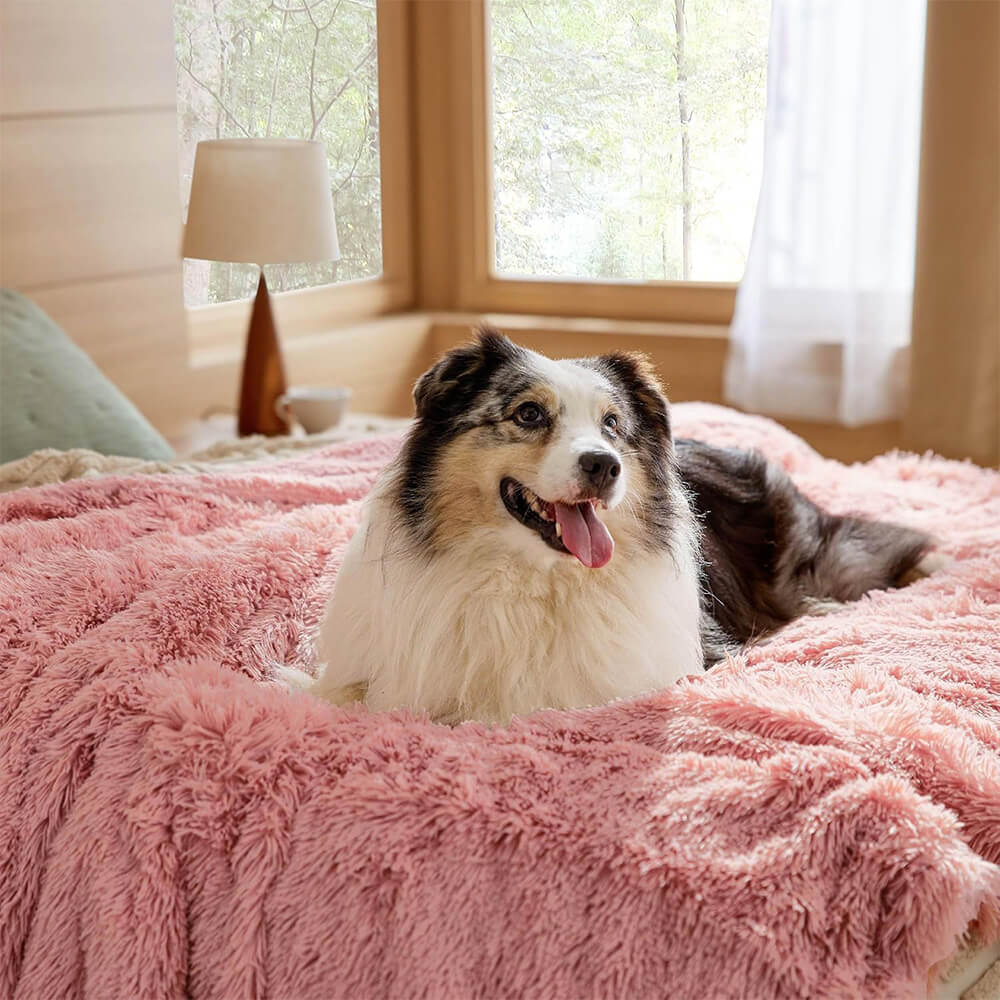 Luxurious Waterproof Plush Warm Multi-Purpose Home Dog Blanket - Image 4