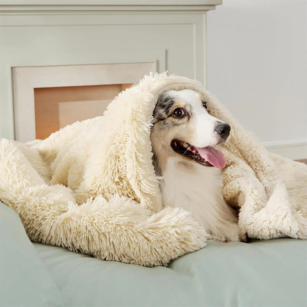 Luxurious Waterproof Plush Warm Multi-Purpose Home Dog Blanket - Image 6
