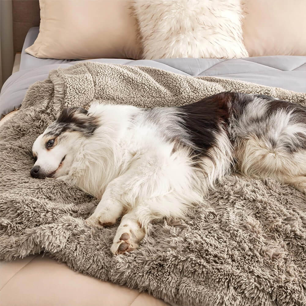 Luxurious Waterproof Plush Warm Multi-Purpose Home Dog Blanket - Image 7