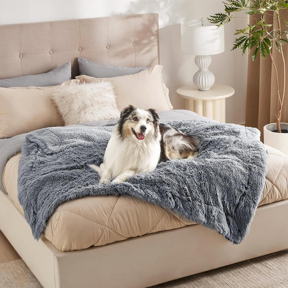 Luxurious Waterproof Plush Warm Multi-Purpose Home Dog Blanket - Image 8