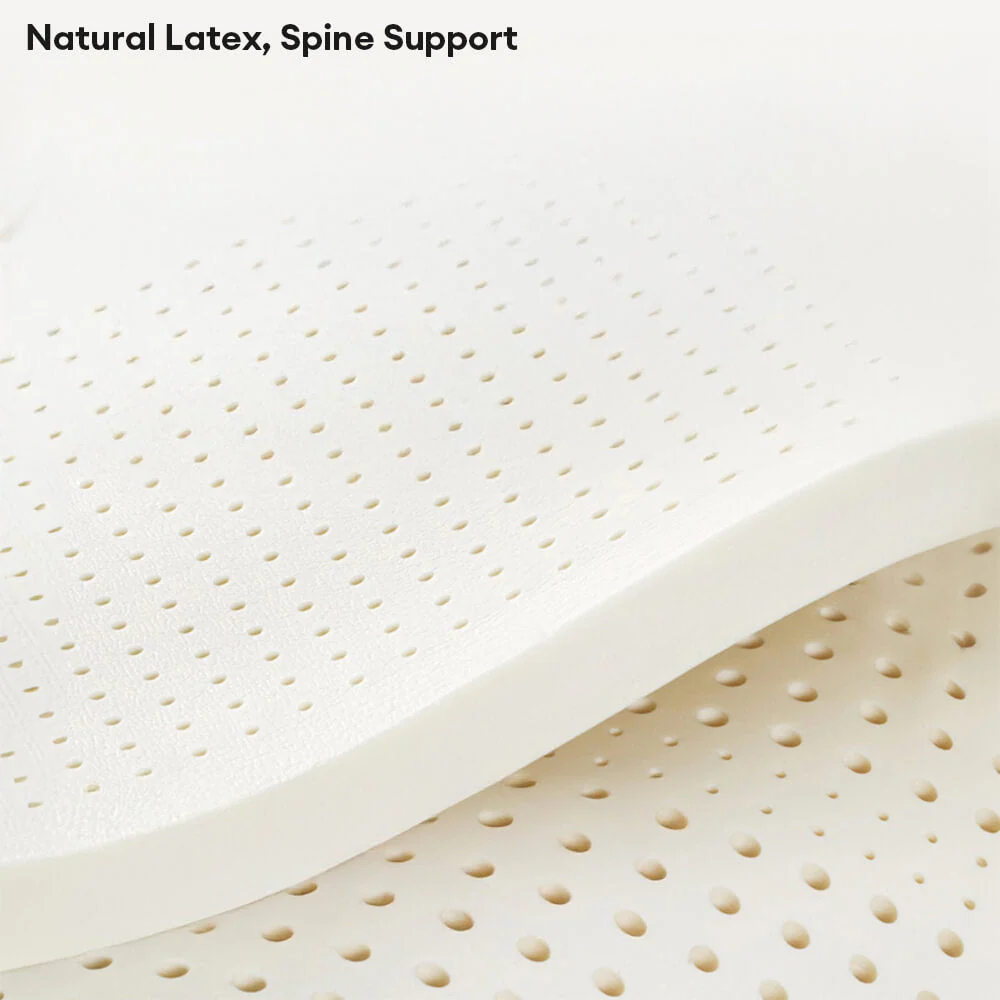 Luxury Natural Latex Supportive Anti-Scratch Dog & Cat Sofa Bed - Image 6