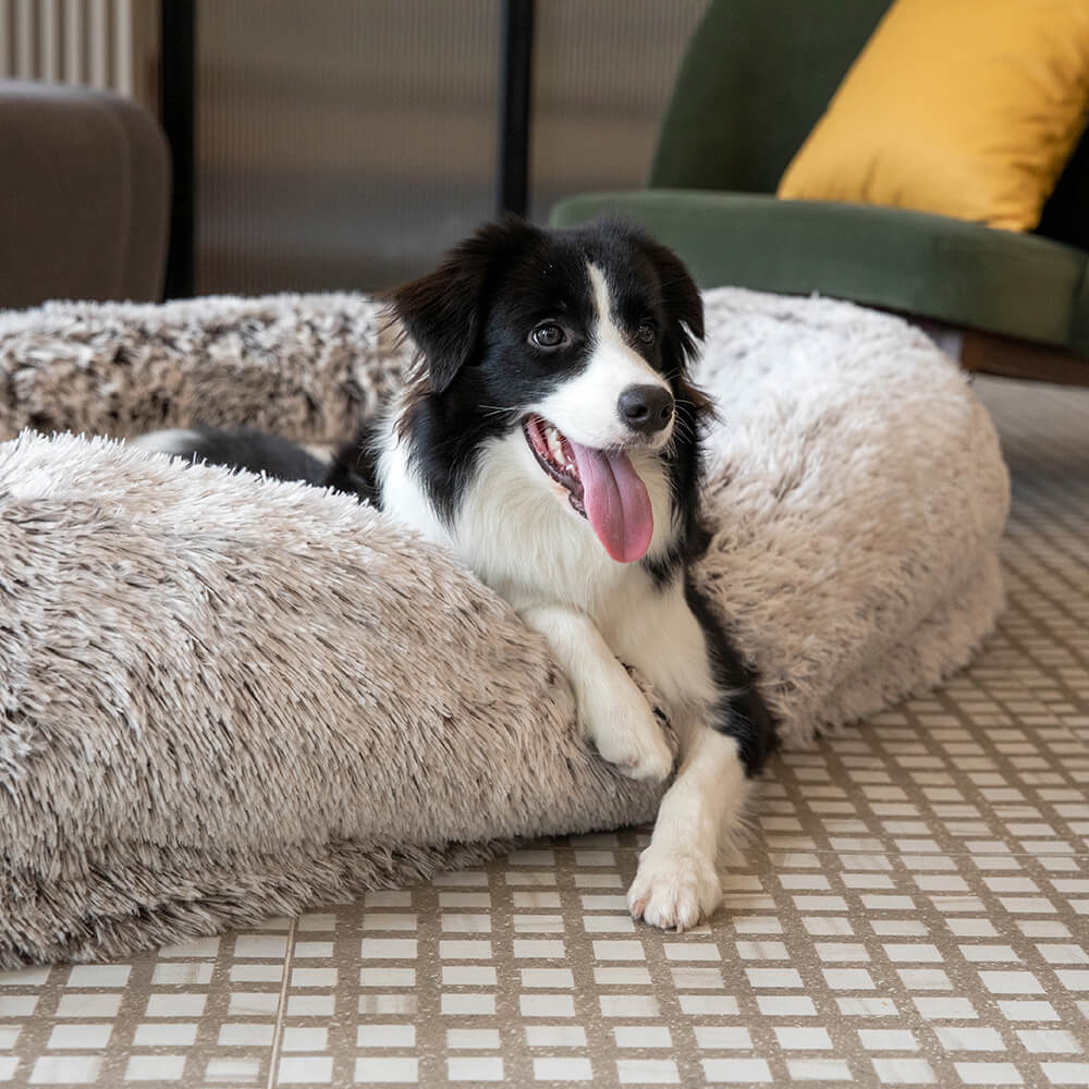 Luxury Super Large Sleep Deeper Oval Bed Human Dog Bed - Image 18
