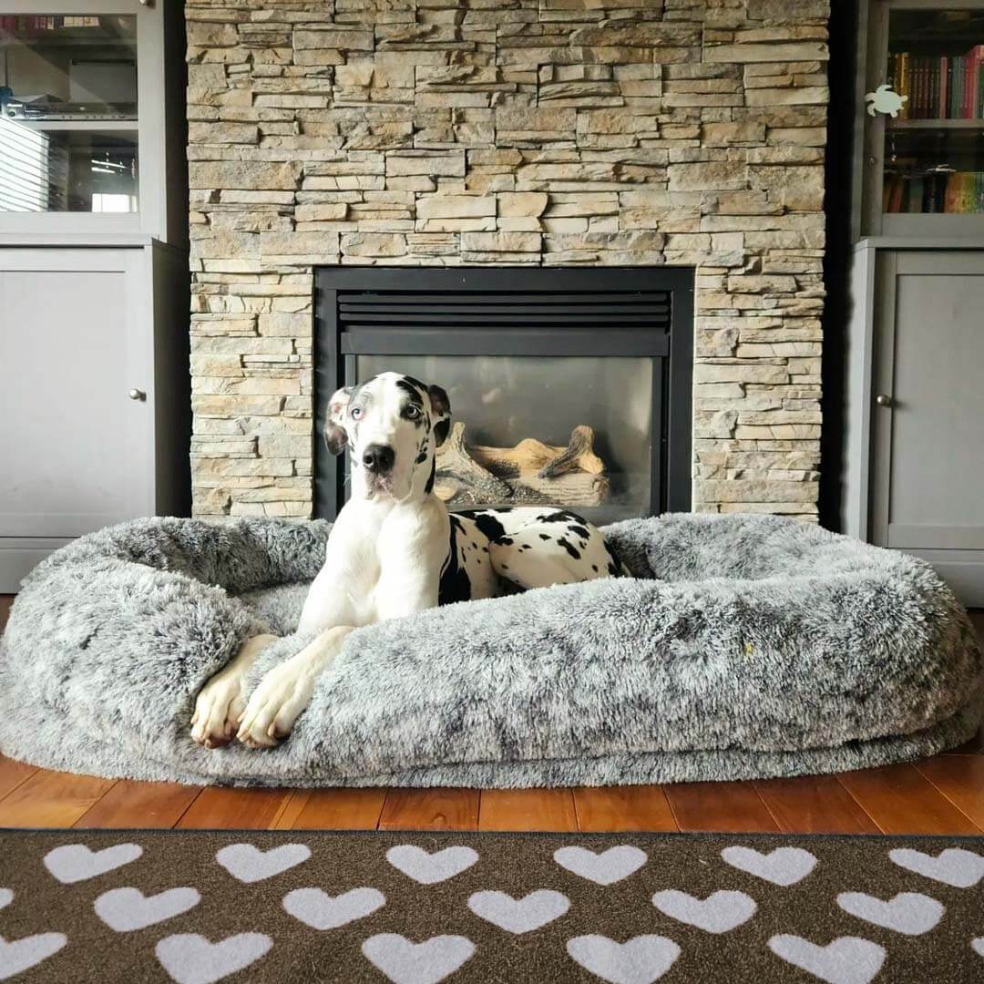 Luxury Super Large Sleep Deeper Oval Bed Human Dog Bed - Image 2