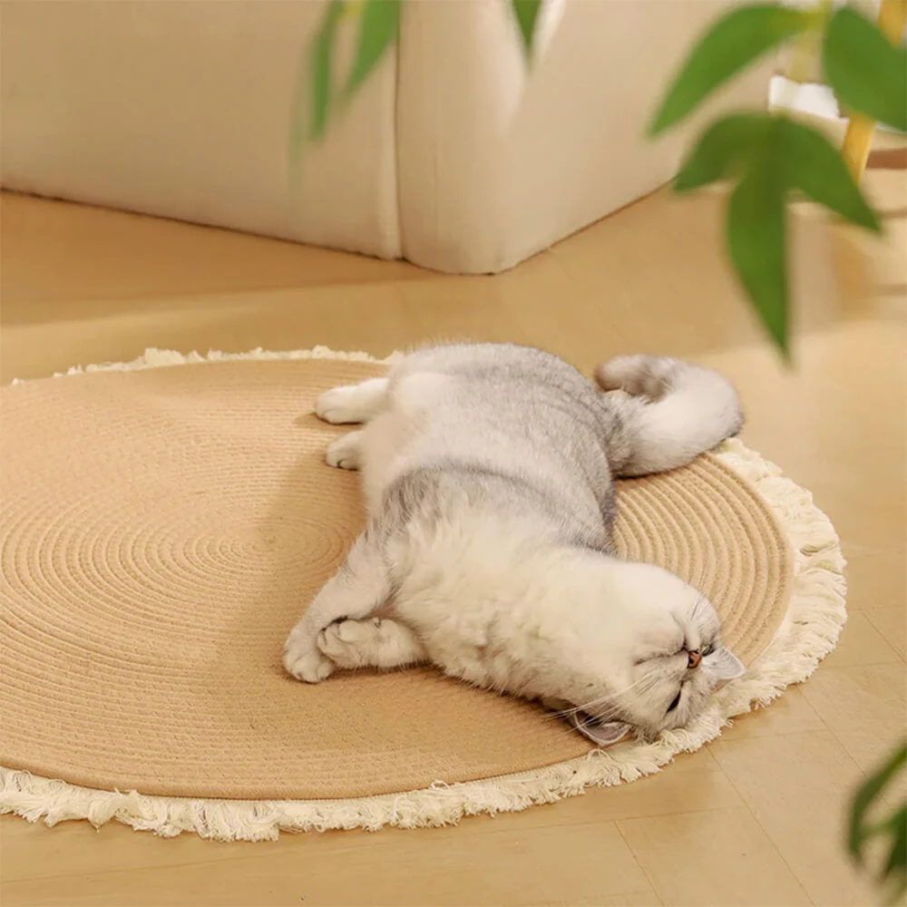 Nordic Handwoven Durable Cat Scratch Mat Rug with Fringe - Image 3