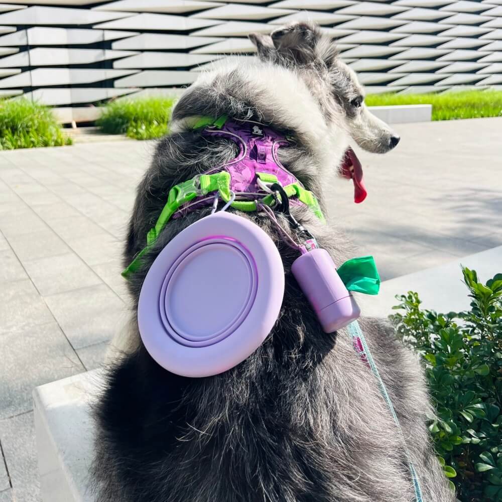 Pet Folding Bowl Portable Silicone Bowl - Image 5