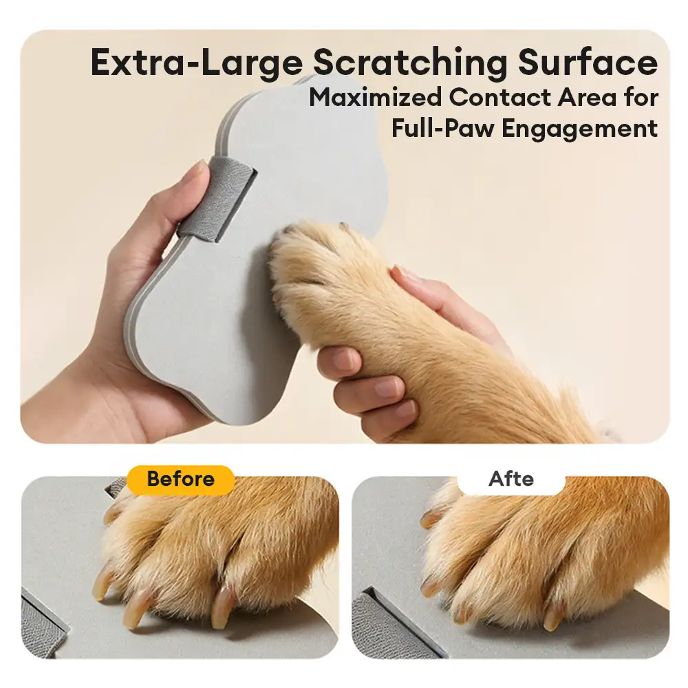 Portable Dog Nail Scratch Board - Image 4
