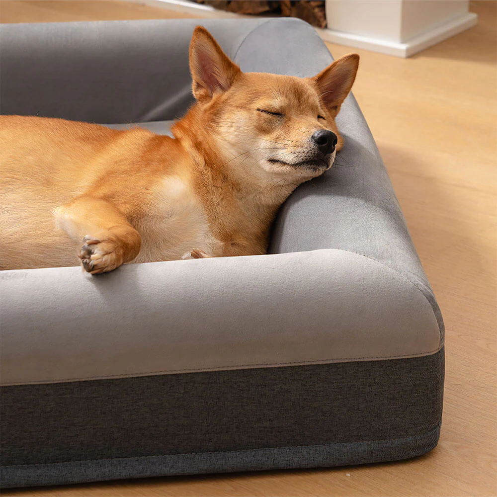 Premium Orthopedic Dog Bed Blissful Sleep With Joyful Play Digging Bed - Image 5