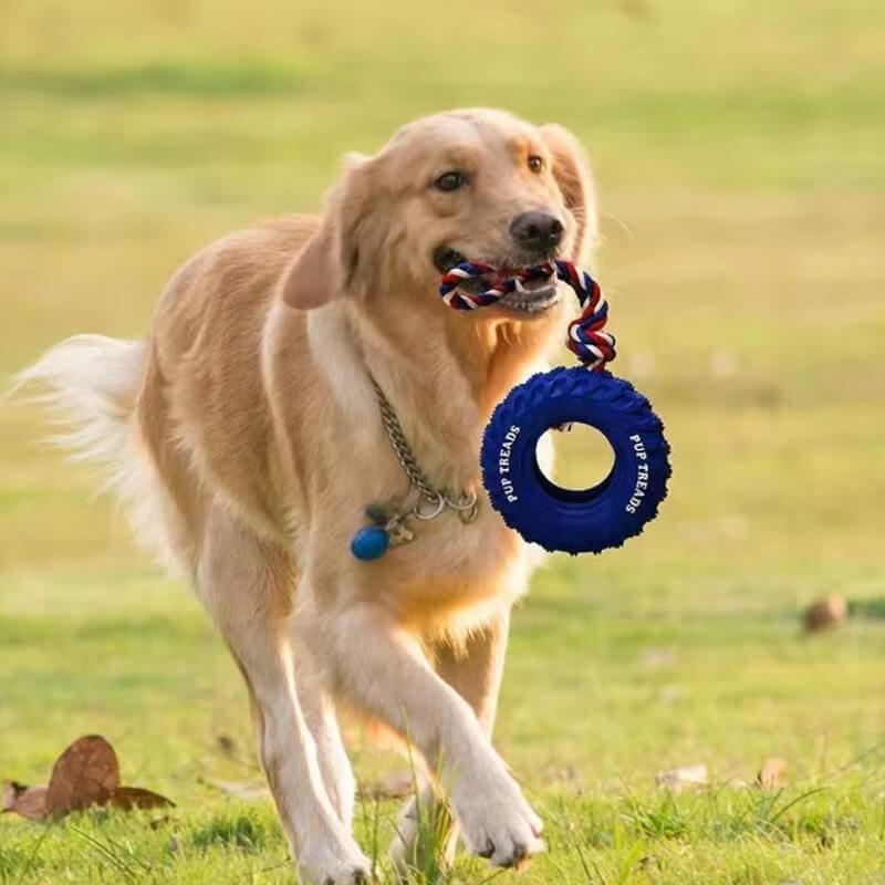 Rubber Tire Dog Interactive Toy Teething and Chewing Toy - Image 3