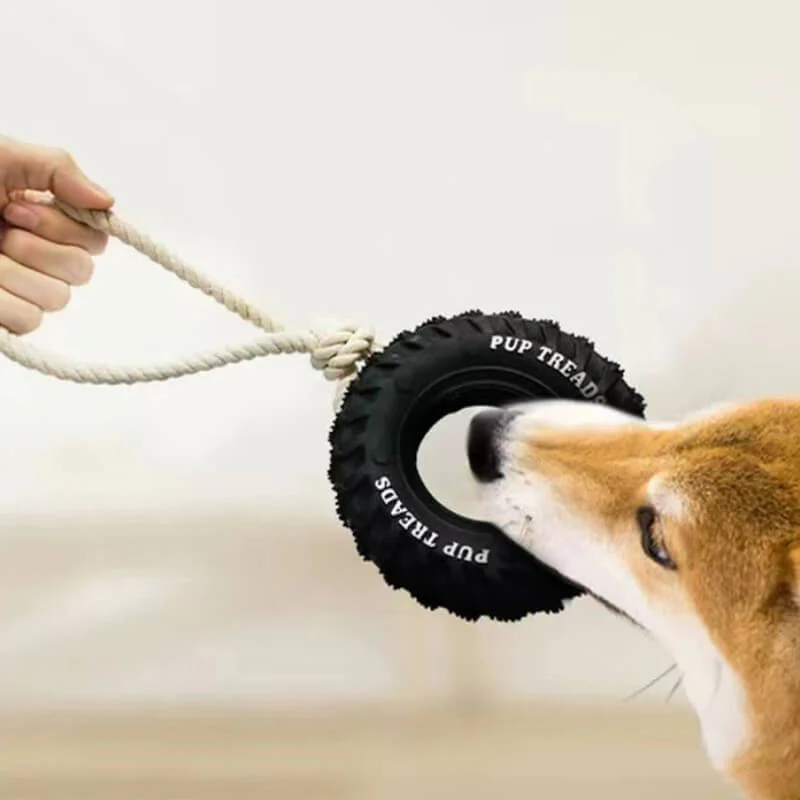 Rubber Tire Dog Interactive Toy Teething and Chewing Toy - Image 4