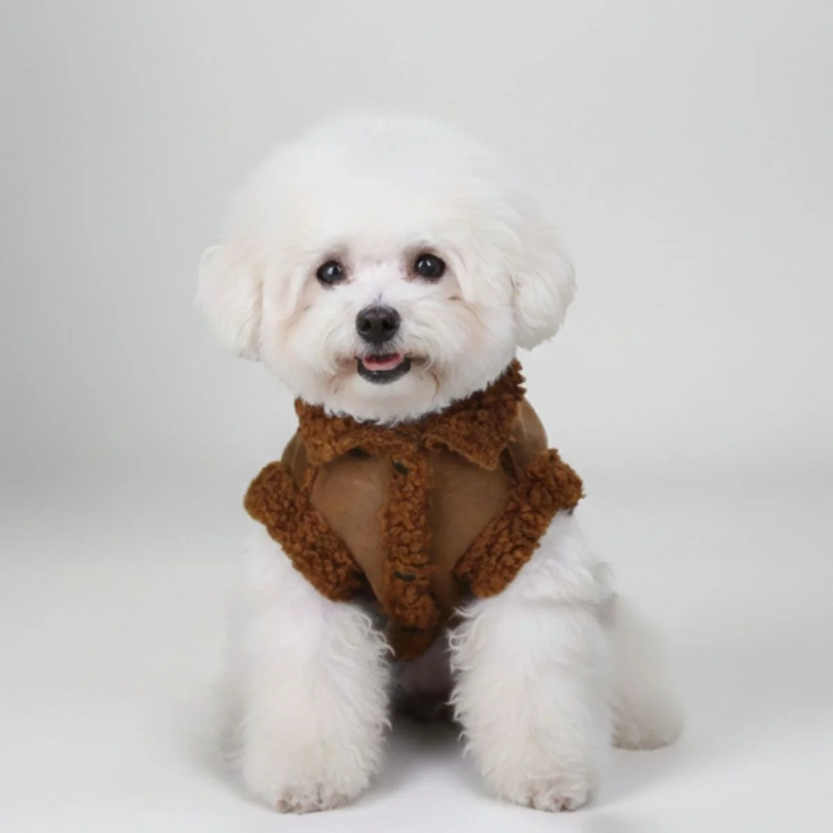 Shearling Dog Jacket – Warm and Stylish Winter Outerwear - Image 10