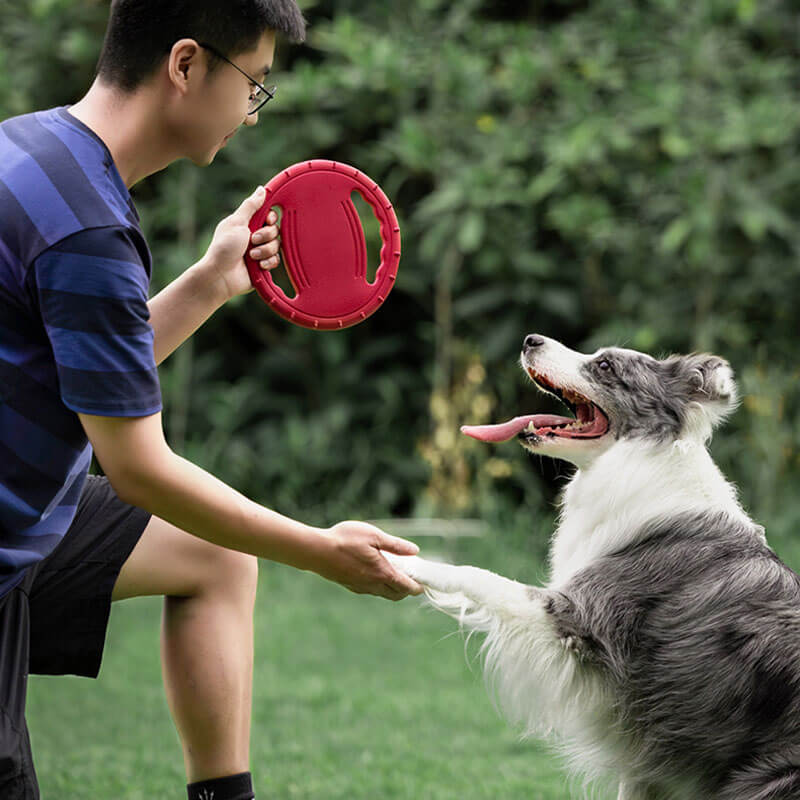Steering Wheel Rubber Throw Toy Interactive Dog Flying Disc - Image 4
