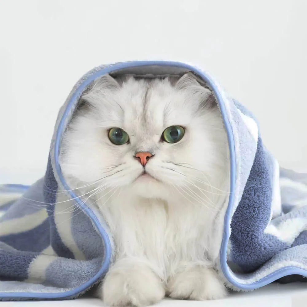 Striped Absorbent Drying Thickened Soft Dog & Cat Bath Towel - Image 4