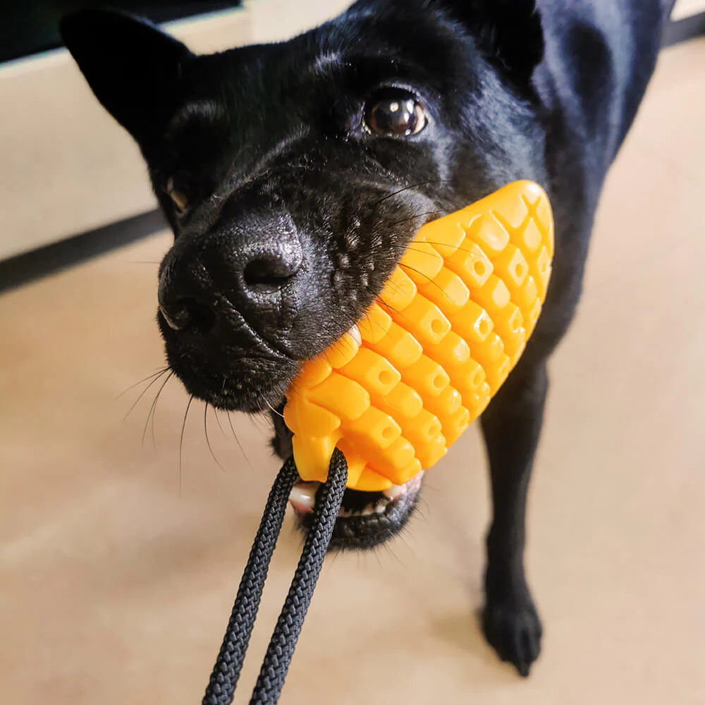 Suction Cup Dog Toy - Mango - Image 2