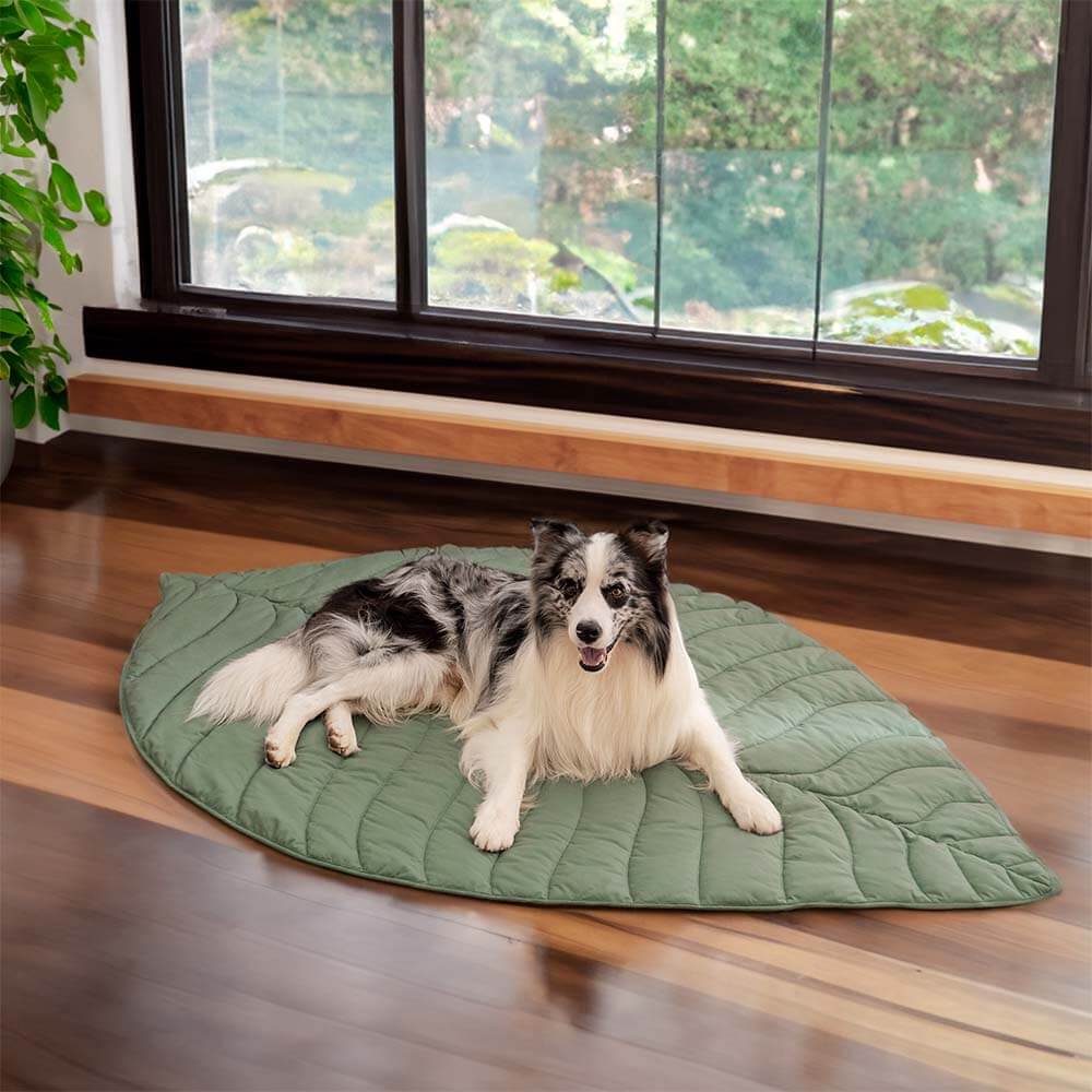 Super Large Leaf Shape Human Mat Dog Blanket - Image 2