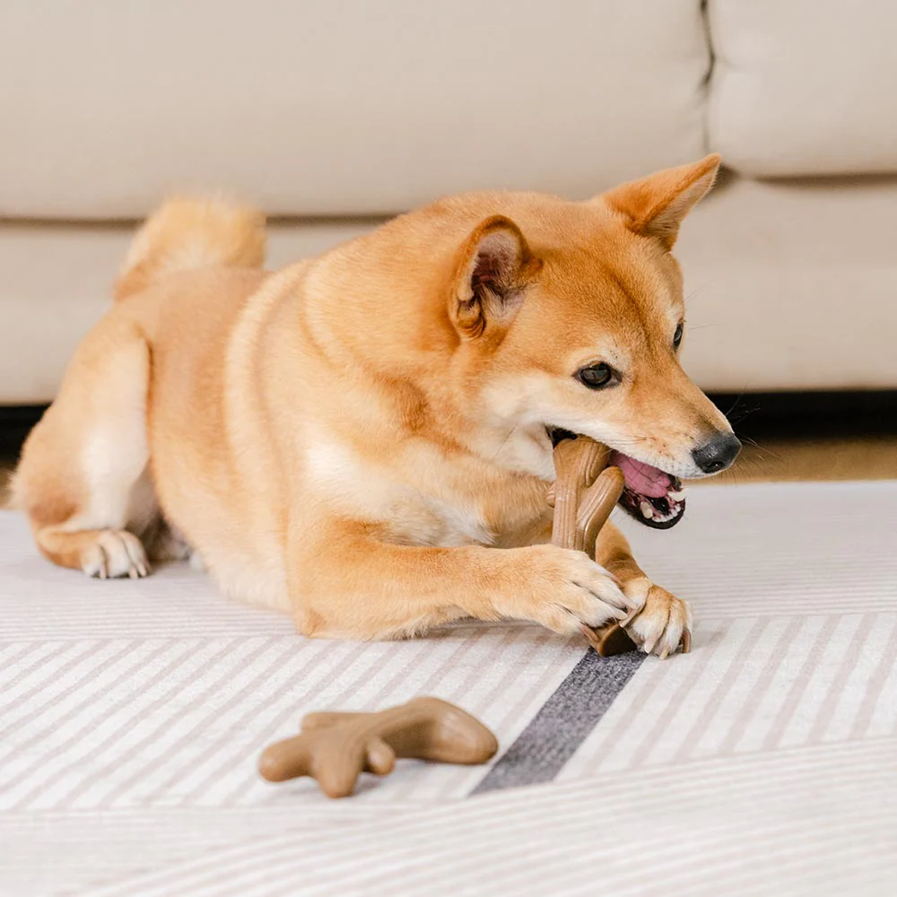 Teething Bones Dog Chew Toy - Bacon-Flavored - Image 8