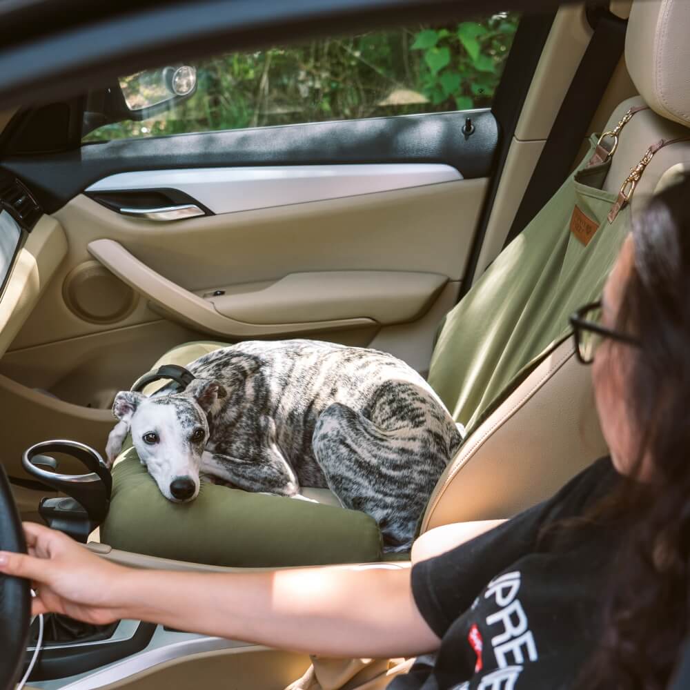 Travel Bolster Safety Back Seat Large Dog Car Seat Bed - Chessboard Lounge - Image 3