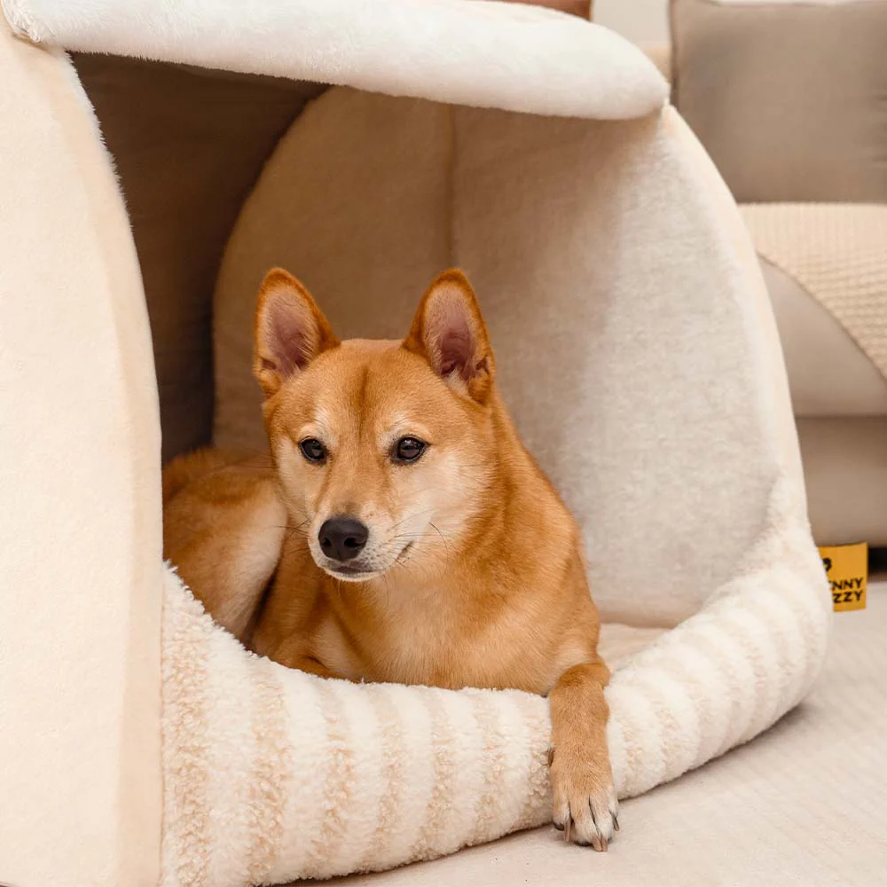 Trendy Striped House Orthopedic Dog Bed - Cozy Hideaway - Image 7
