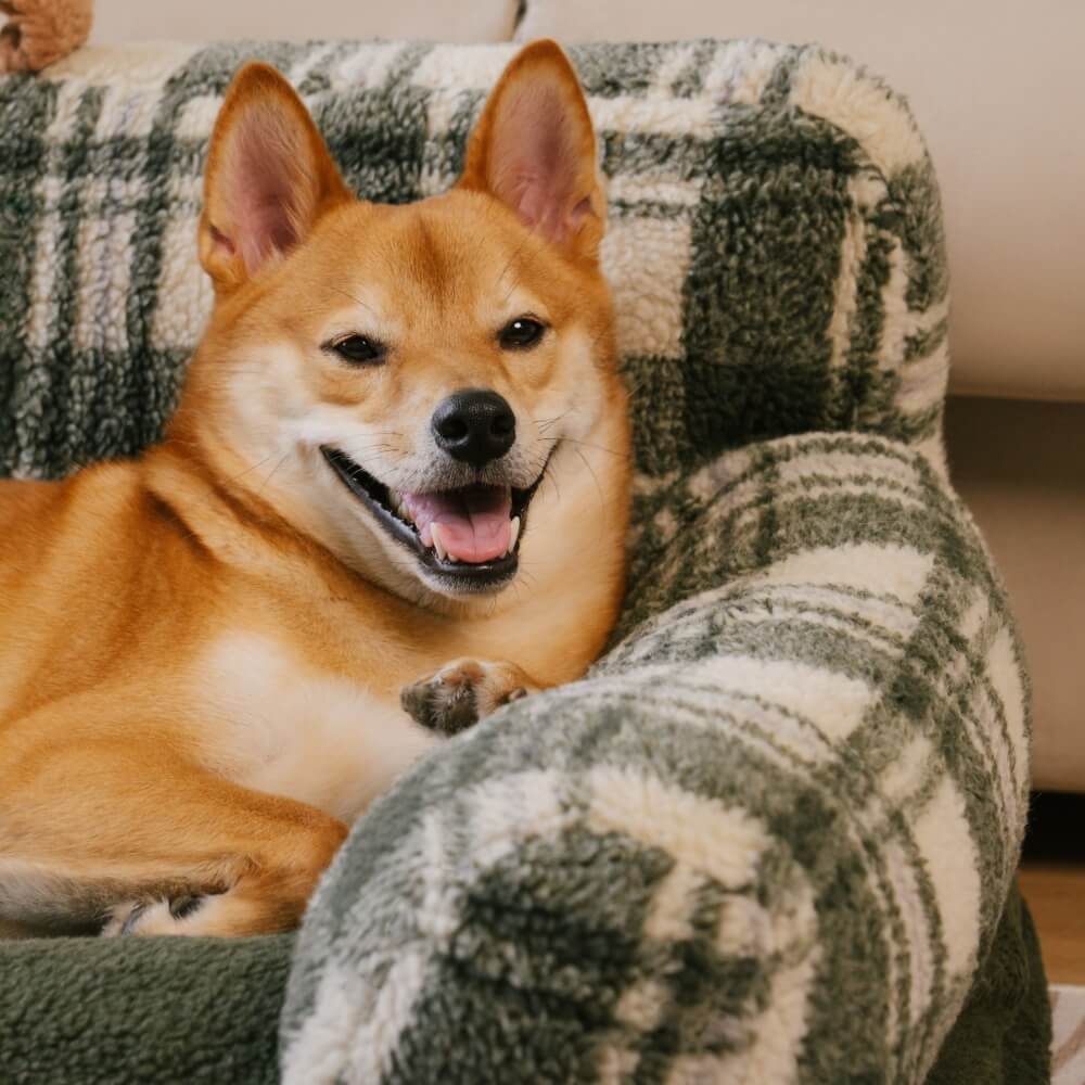 Vintage Checkered Washable Cozy Support Calming Dog & Cat Sofa Bed - Image 4