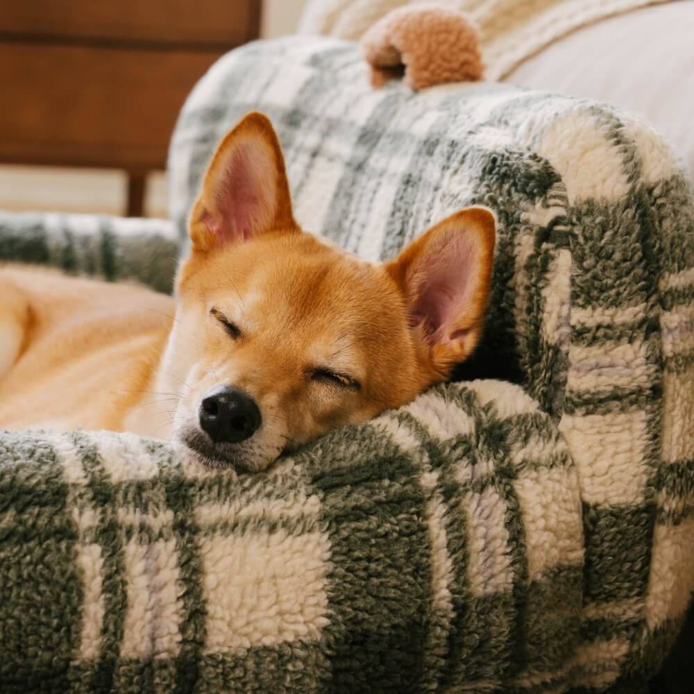 Vintage Checkered Washable Cozy Support Calming Dog & Cat Sofa Bed - Image 5