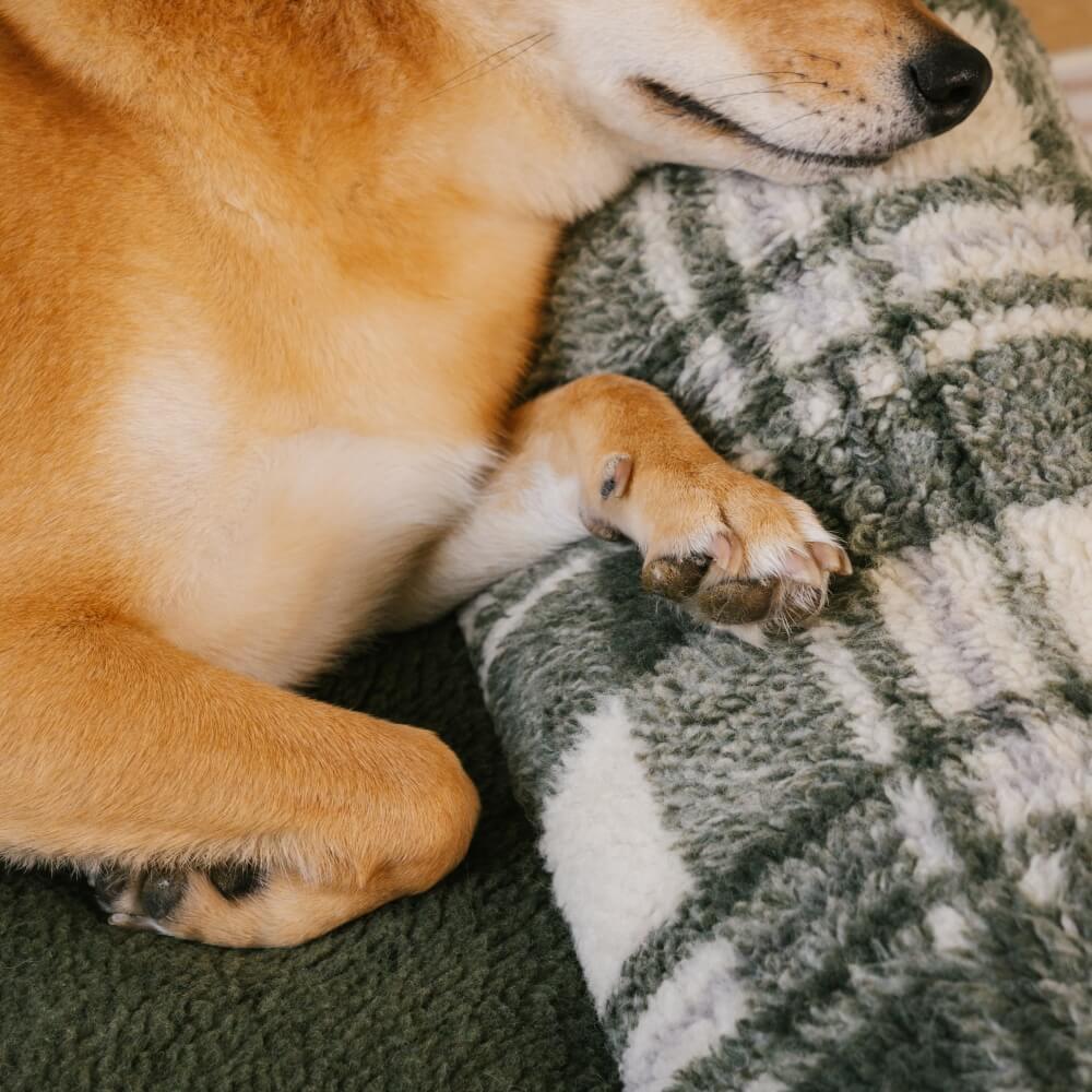 Vintage Checkered Washable Cozy Support Calming Dog & Cat Sofa Bed - Image 6