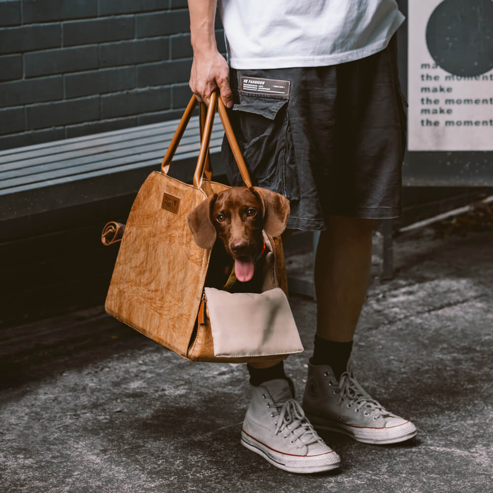 Vogue Eco-friendly Multi-functional Pet Travel Bag - City Roamer - Image 3